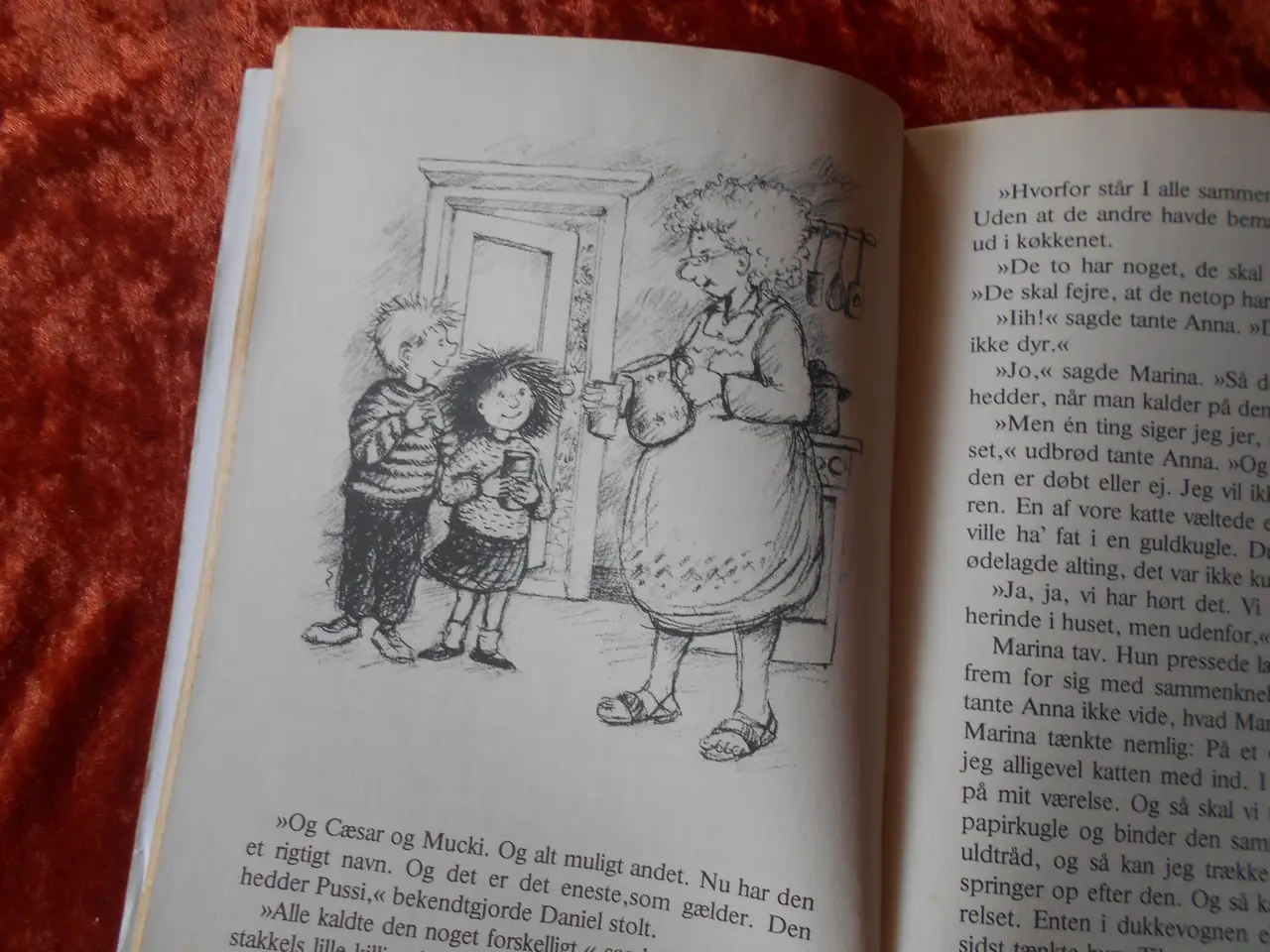 Billede 4 - Jeg vil ikke ha' katte i mit hus,