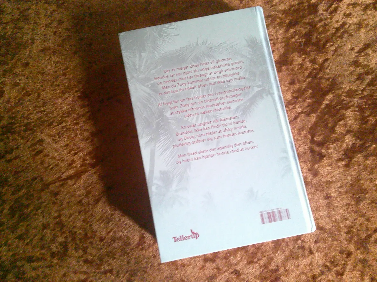 Billede 1 - Under overfladen, Jennifer Echols