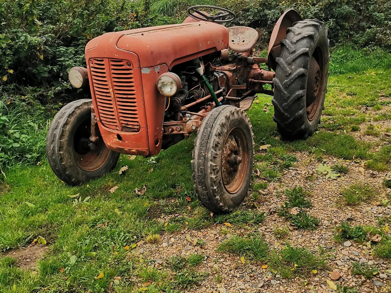 Billede 2 - Massey Ferguson 35 (MF35) - 4 cyl. benzin
