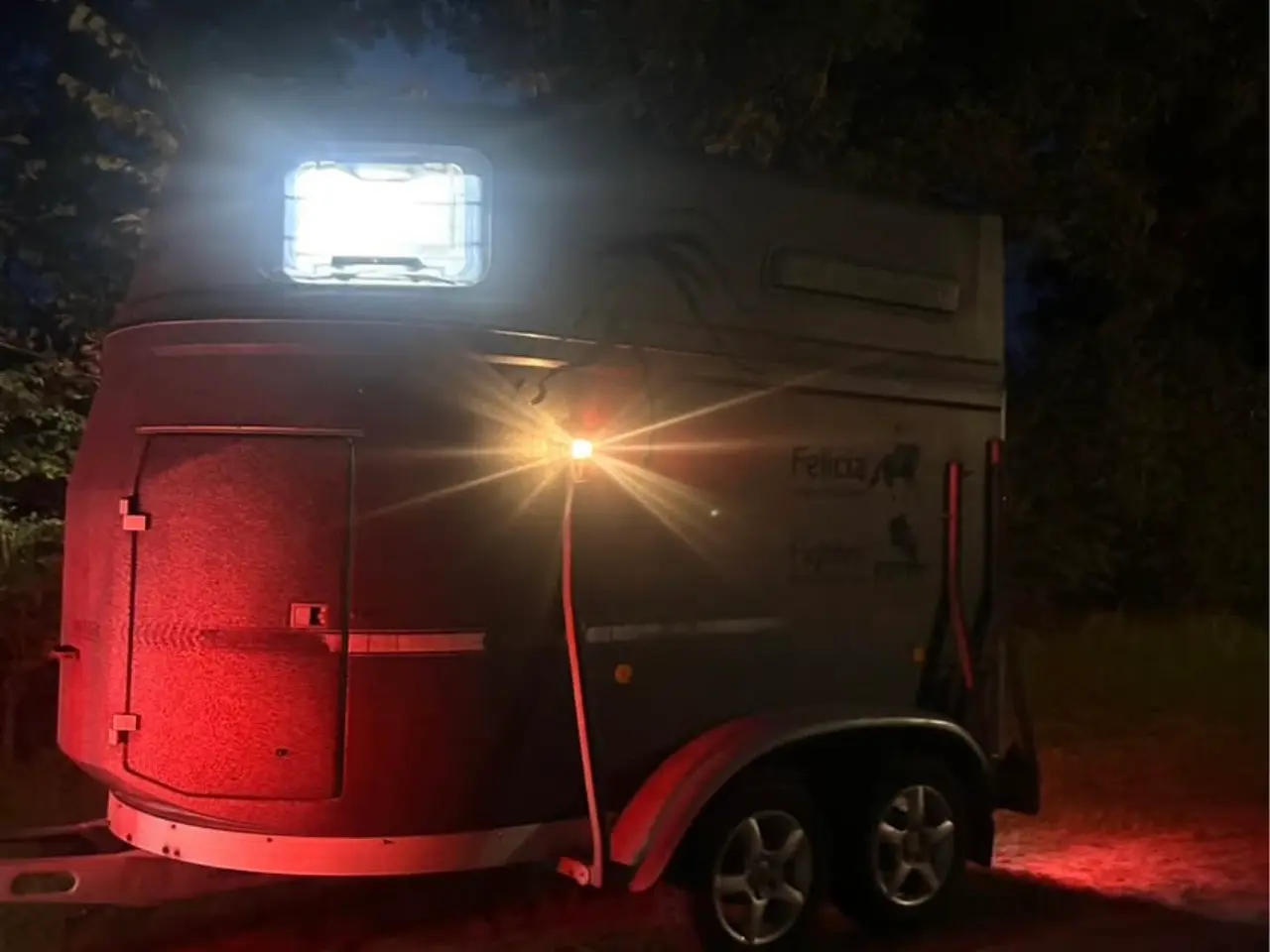 Billede 4 - Hestetrailer