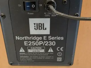 12 tommer JBL sub