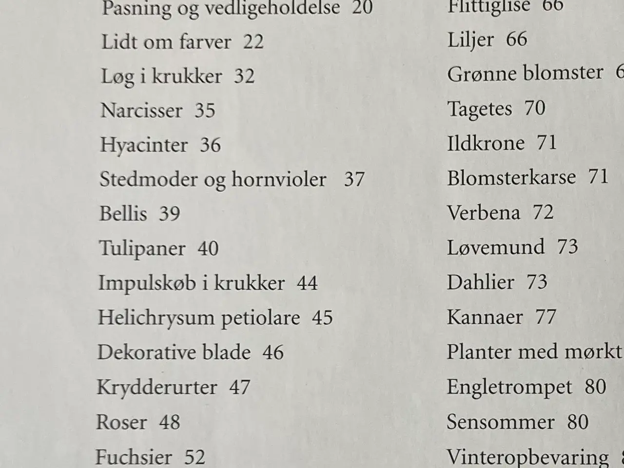 Billede 5 - Krukker i haven, af Claus Dalby