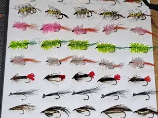 Kyst fluer 60 Styks. 