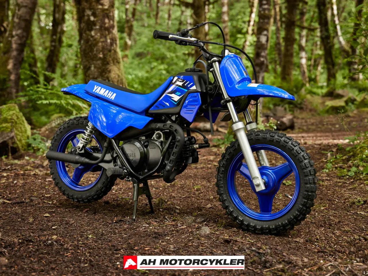 Billede 7 - Yamaha PW 50