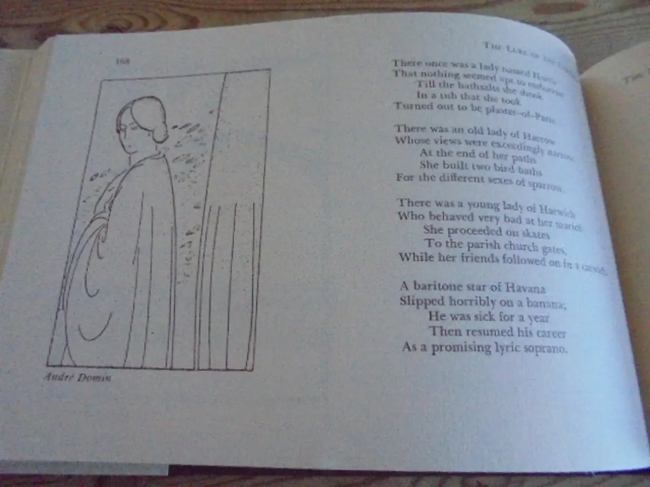 Billede 4 - The Lure of the Limerick - engelsksproget 