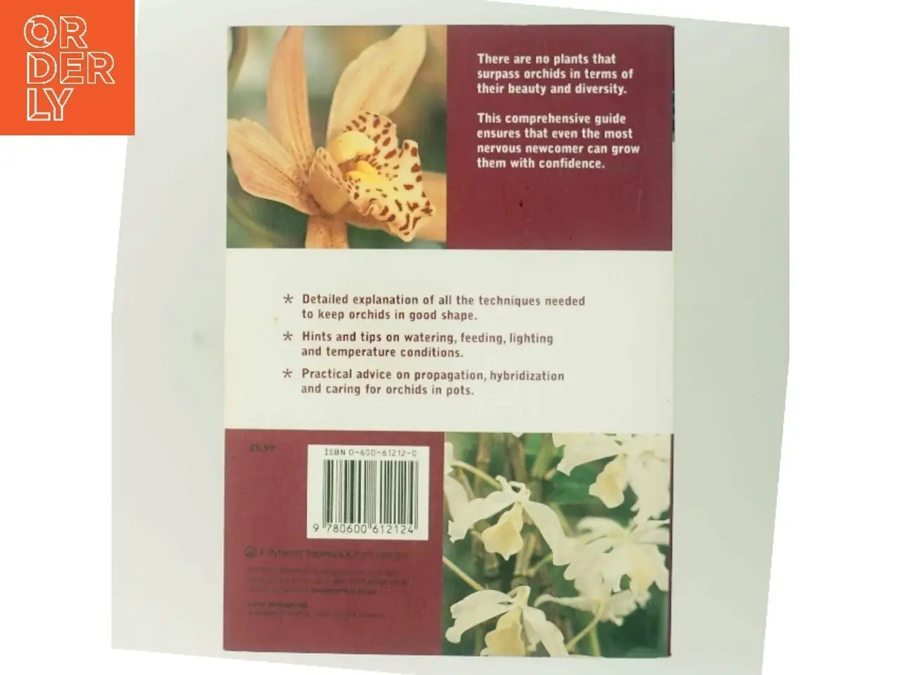 Billede 3 - Orchid Basics af Brian & Sara Rittershausen (Bog)