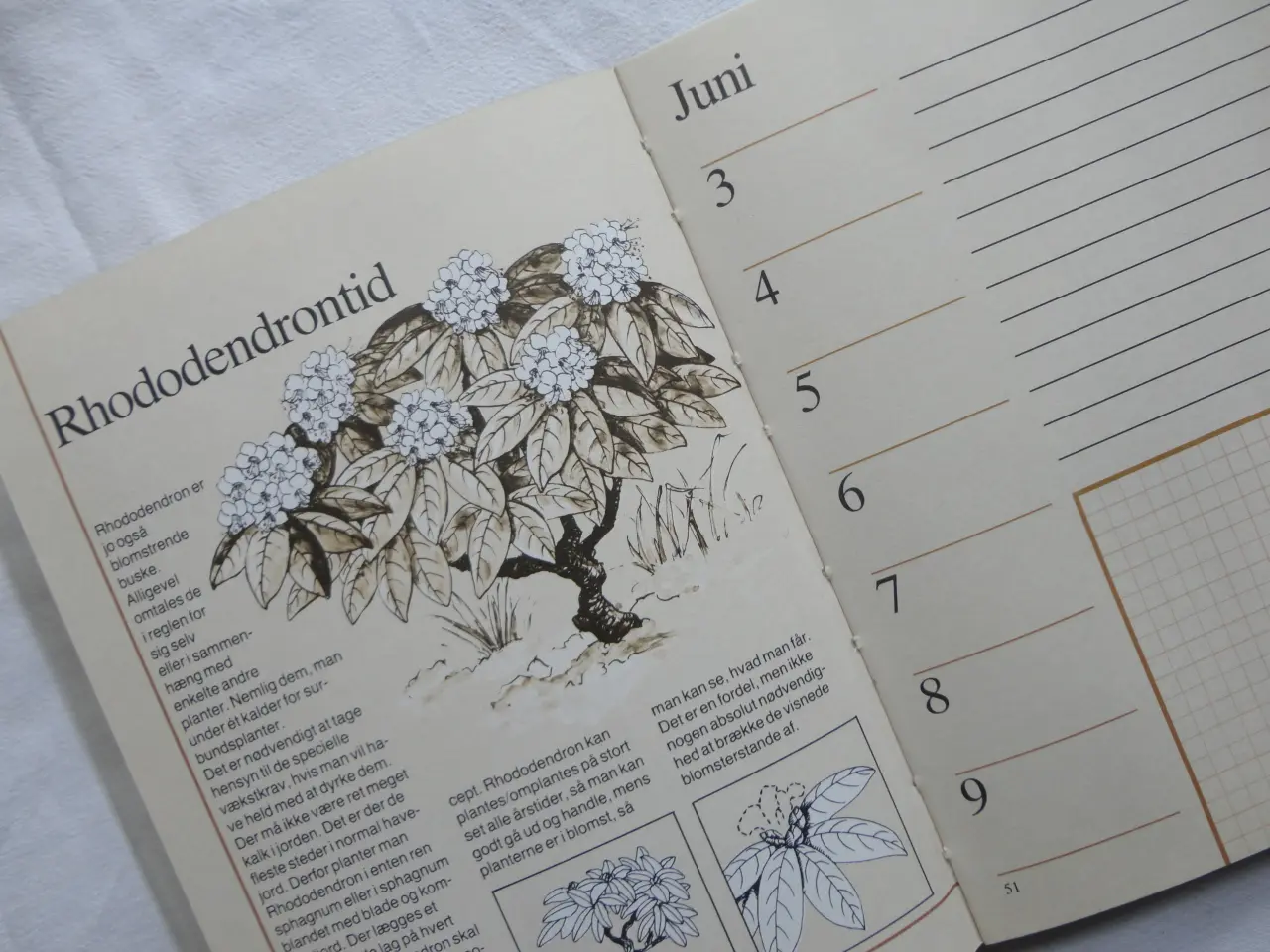 Billede 3 - Have Dagbog :