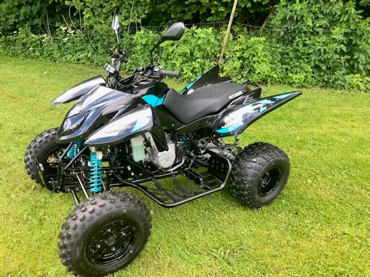 Billede 4 - ACCESS QUAD EC 480