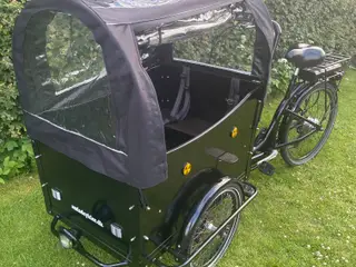 Am El Ladcykel 