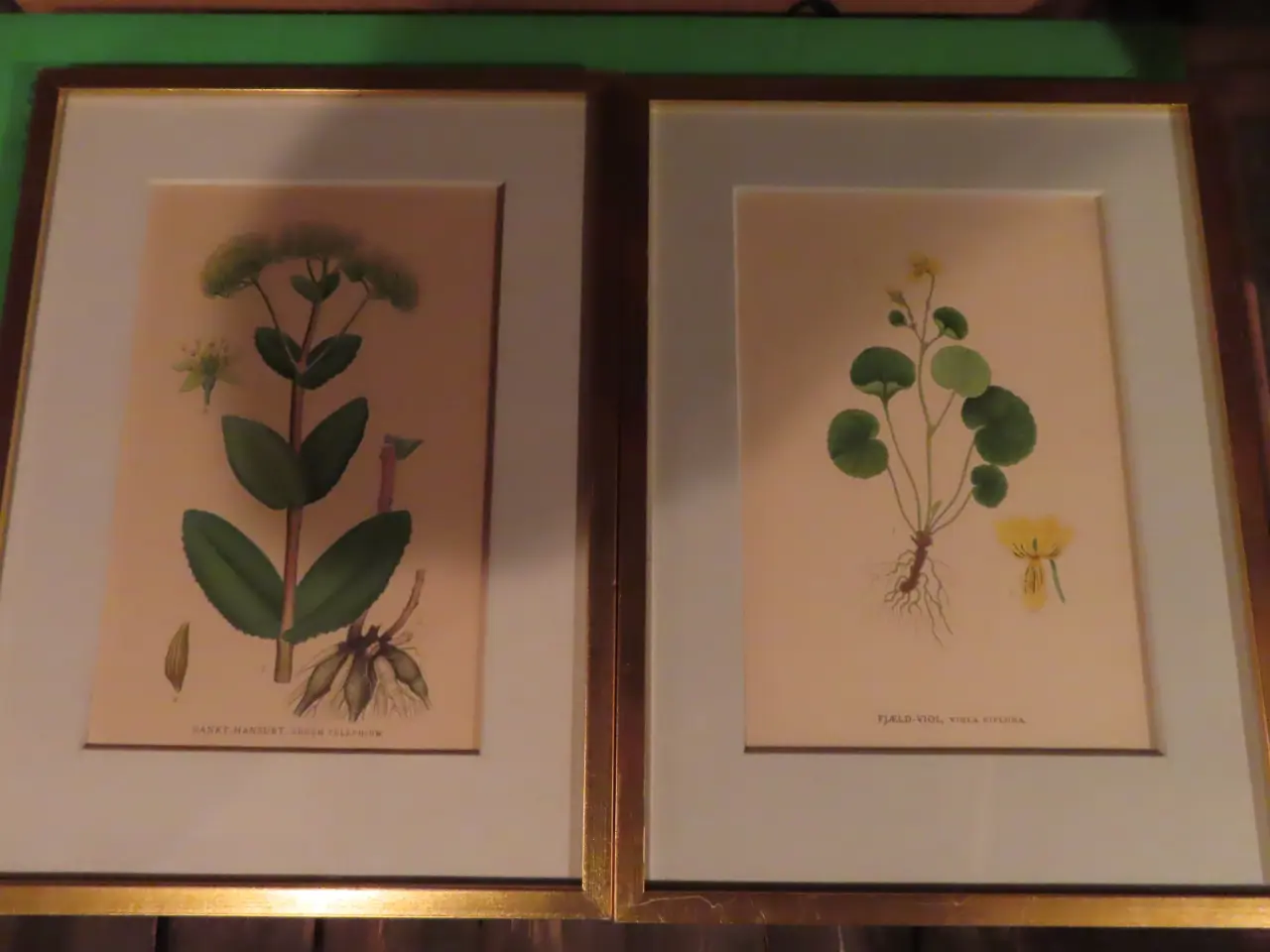 Billede 1 - 4 motiver af planter