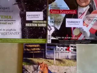 Ridehesten 2 stk.og Horze