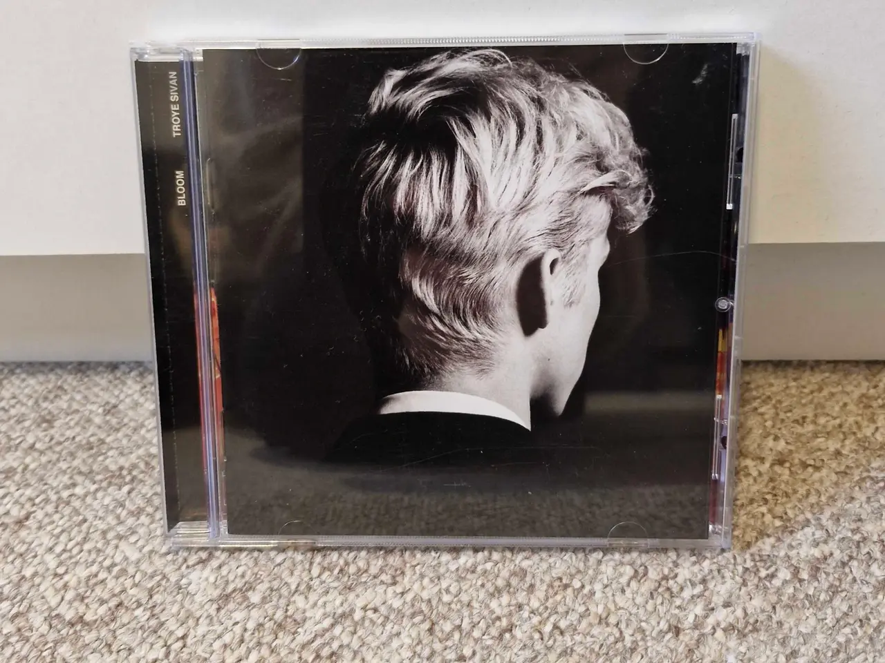 Billede 1 - Troye Sivan - Bloom 