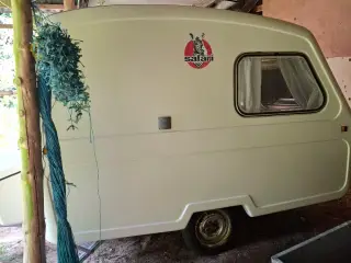 Safari 280