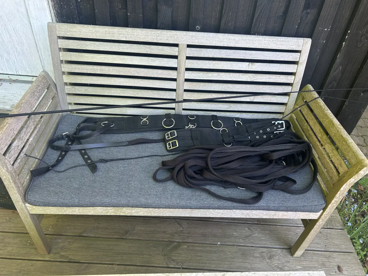Billede 1 - Longering gjord-pisk-longe str pony