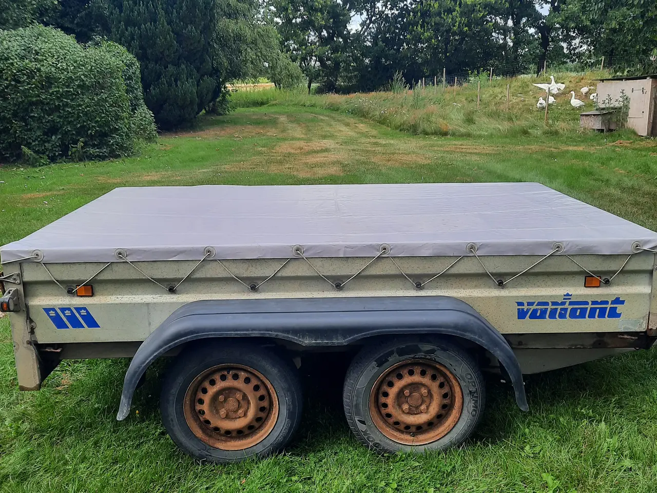 Billede 8 - Nysynet 1600 kg Variant trailer.