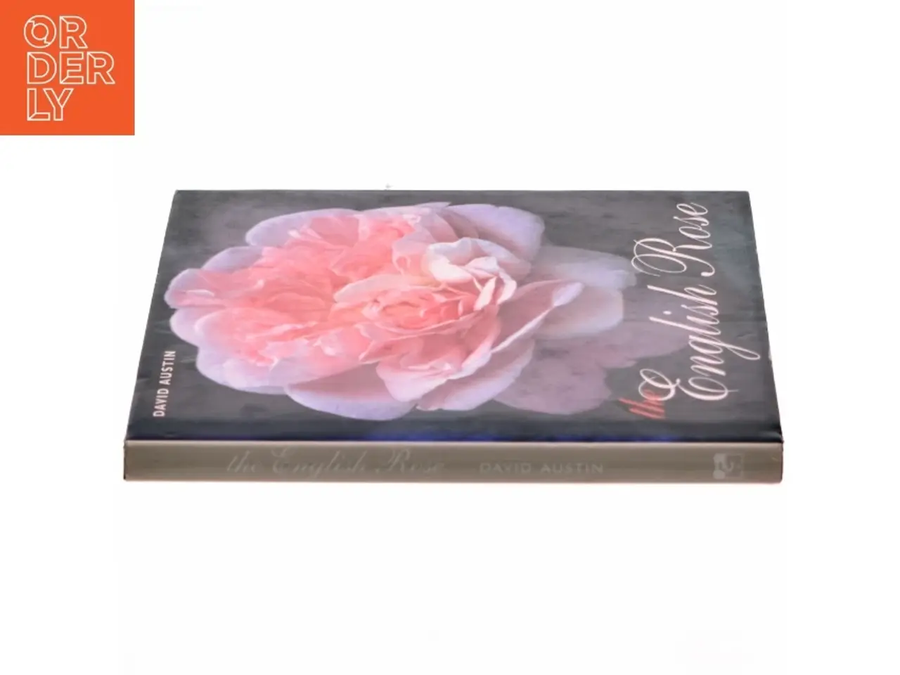 Billede 2 - The English rose af David Austin