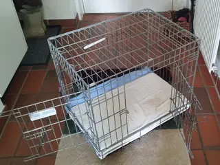 Hundebur/transportbur til bil.
