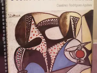 Picassos in Barcelona