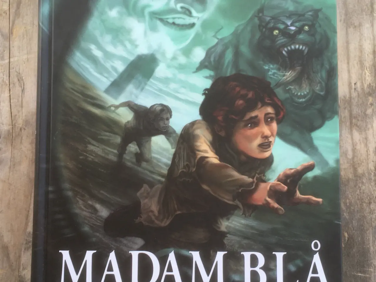 Billede 1 - Madam Blå og Svinehunden, Sally Altschuler