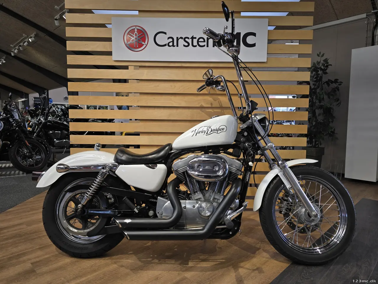 Billede 1 - Harley-Davidson XL883C Sportster