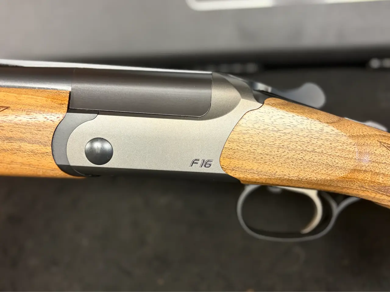 Billede 2 - Ny Blaser F16 12/76 Game
