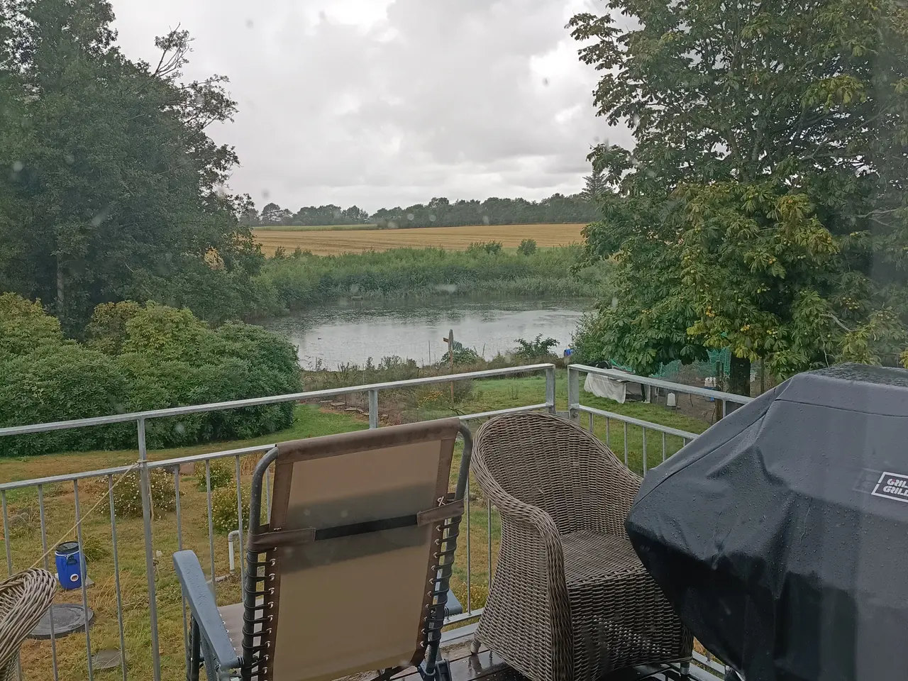 Billede 2 - Sommerhus udlejning