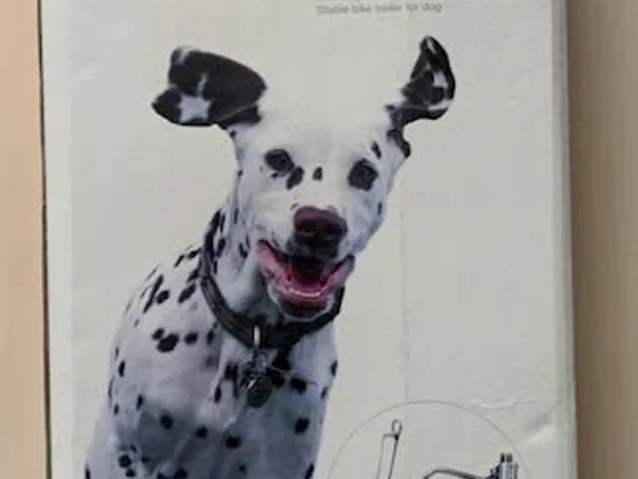 Billede 3 - Cykle sikkert med hunden