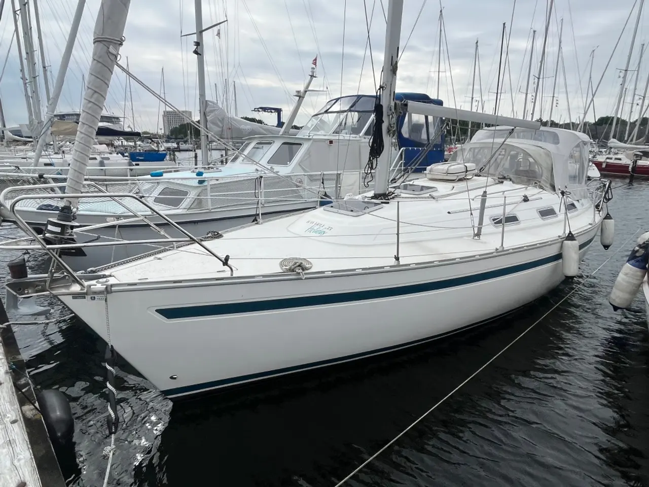 Billede 1 - Bavaria 35 Holiday