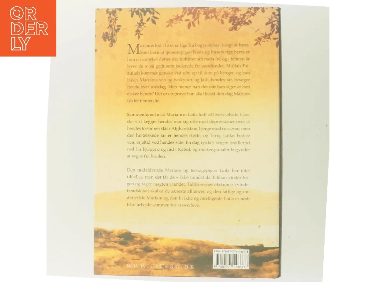 Billede 3 - Under en strålende sol af Khaled Hosseini (Bog)