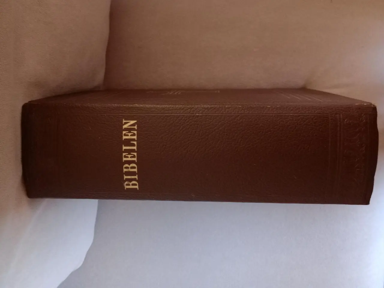 Billede 2 - stor gammel billedbibel