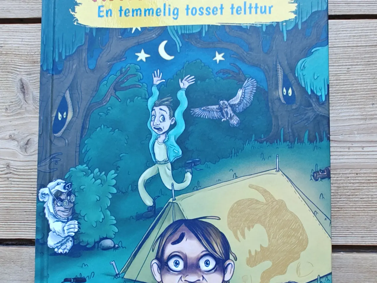 Billede 1 - Naja Münster En temmelig tosset telttur BOG