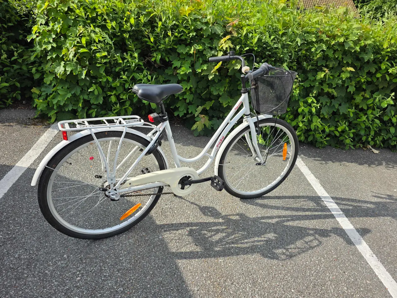 Billede 5 - Pigec ykel 