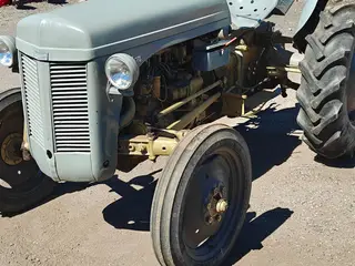 Ferguson 31