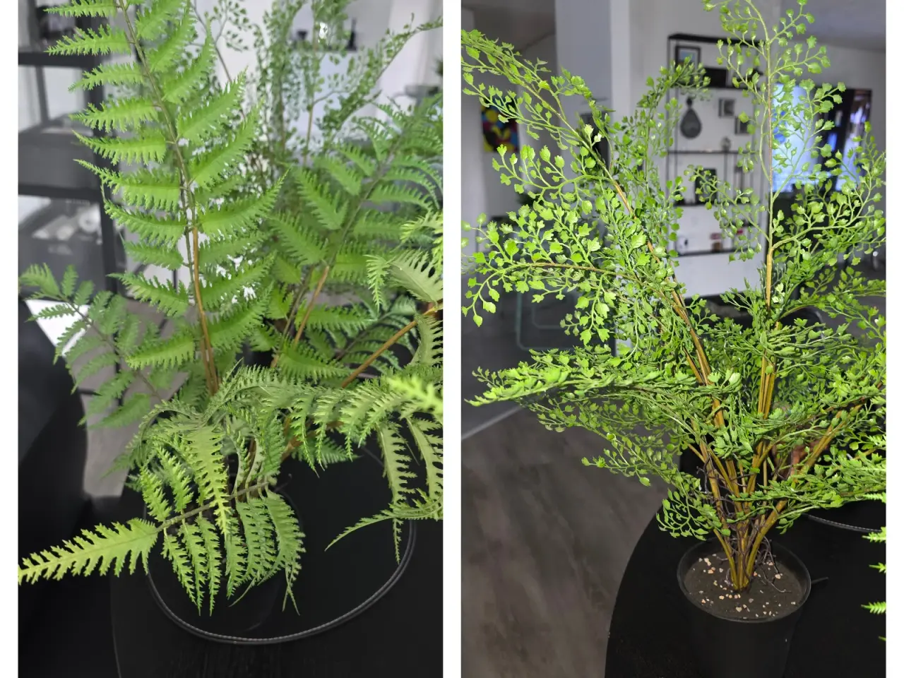 Billede 1 - Smukke kunstige planter
