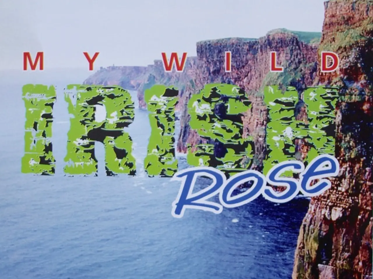 Billede 2 - Michael Feeny's Irish… – My Wild Irish Rose – CD