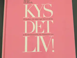 Mette Holbæk Kys Det Liv 