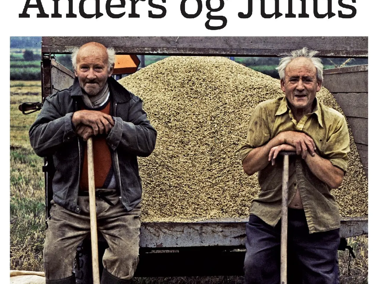 Billede 1 - Søren Ryge præsenterer - Anders og Julius (2010)