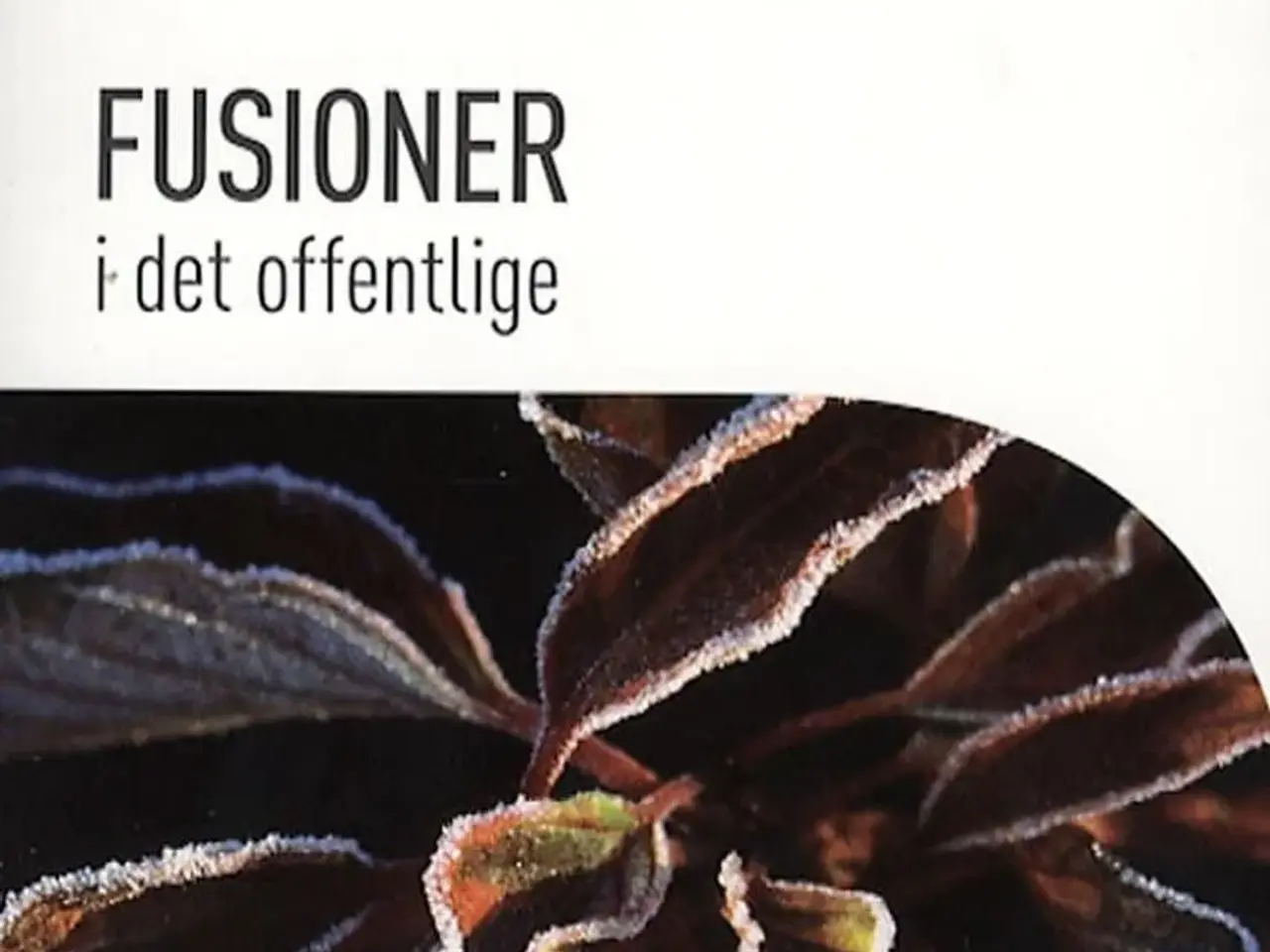 Billede 1 - Fusioner i det offentlige