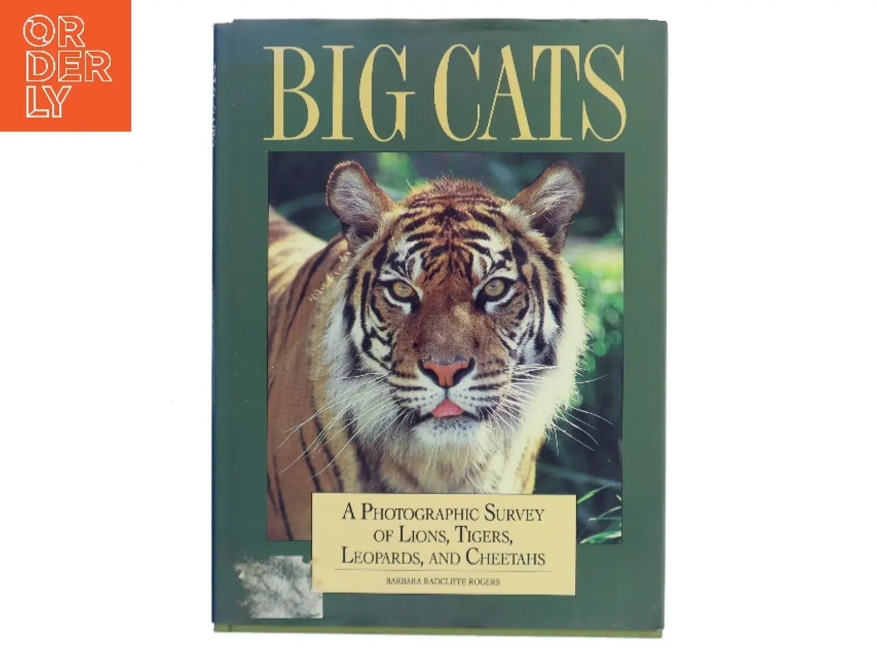 Billede 1 - Big Cats af Barbara Radcliffe Rogers (Bog)