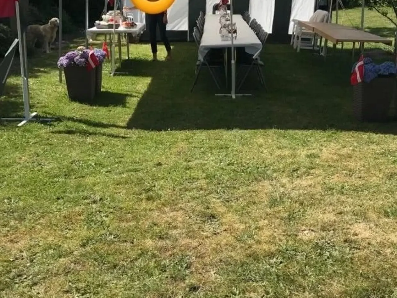 Billede 7 - Partytelt KUN UDLEJNING