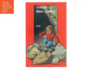 Øjne i mørket af Kenneth Ireland (Bog)