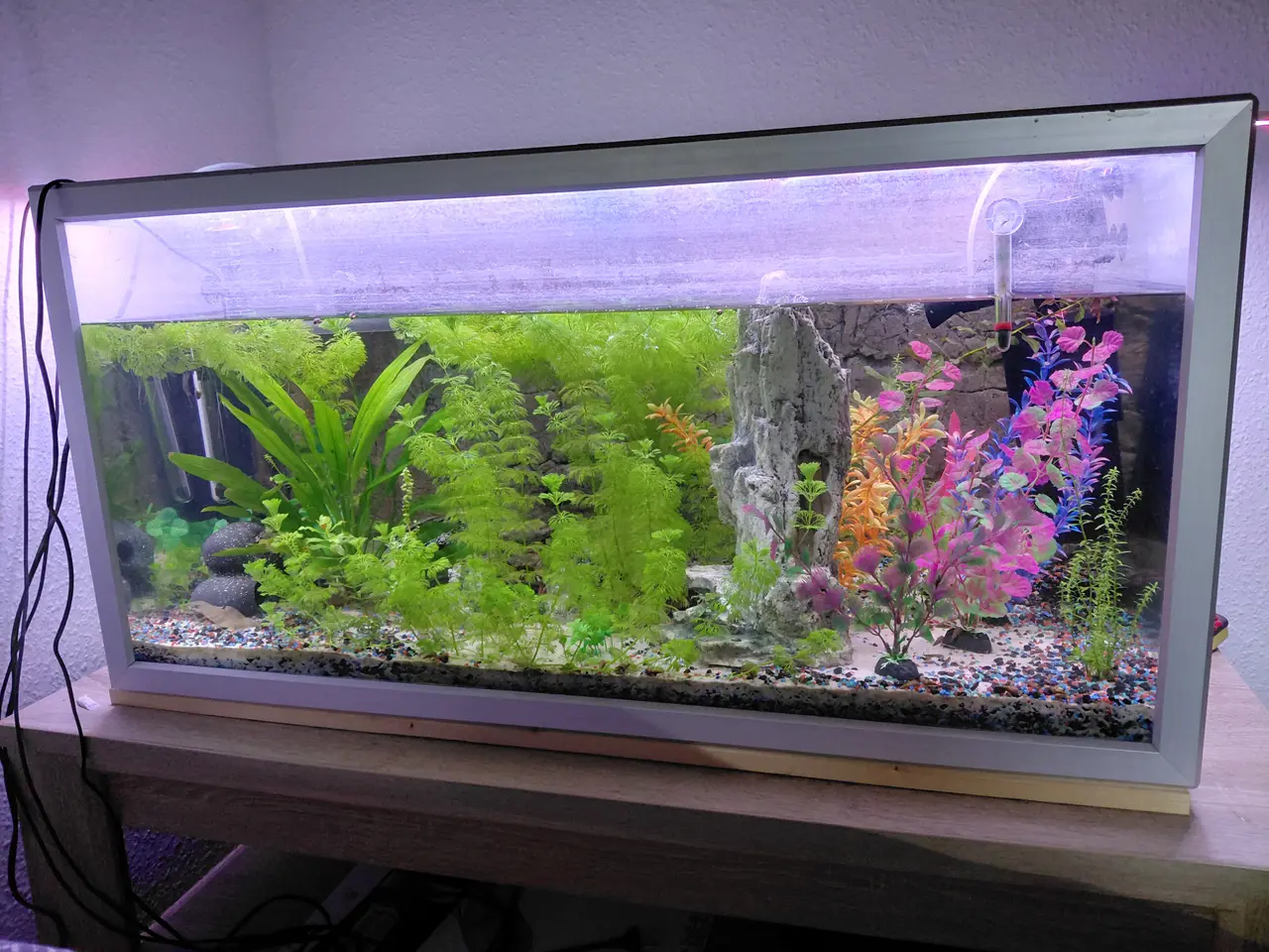 Billede 1 - Akvarie med det hele