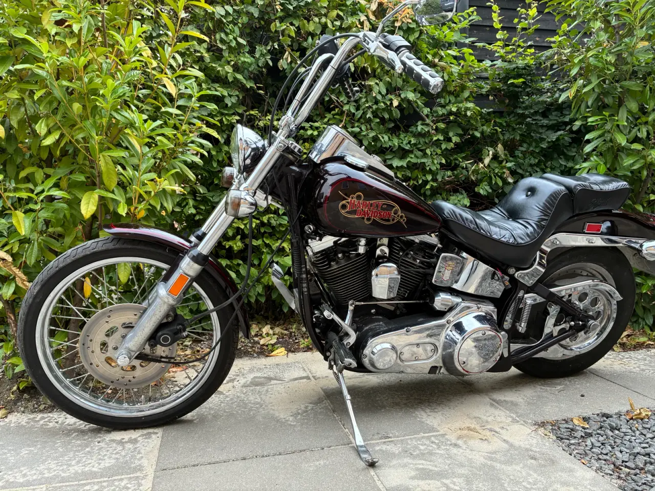 Billede 4 - Harley