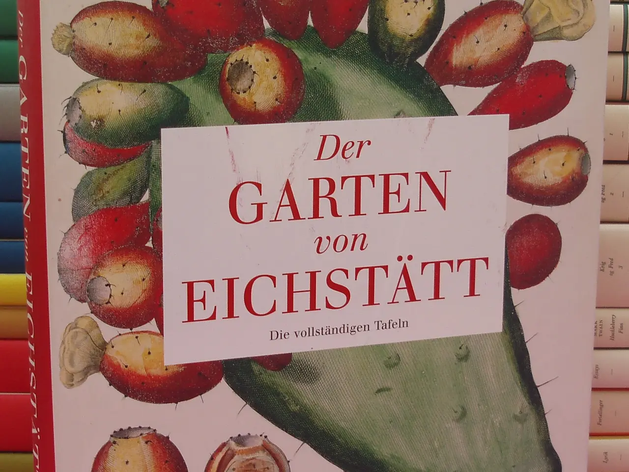 Billede 1 - Der Garden von Eichstätt