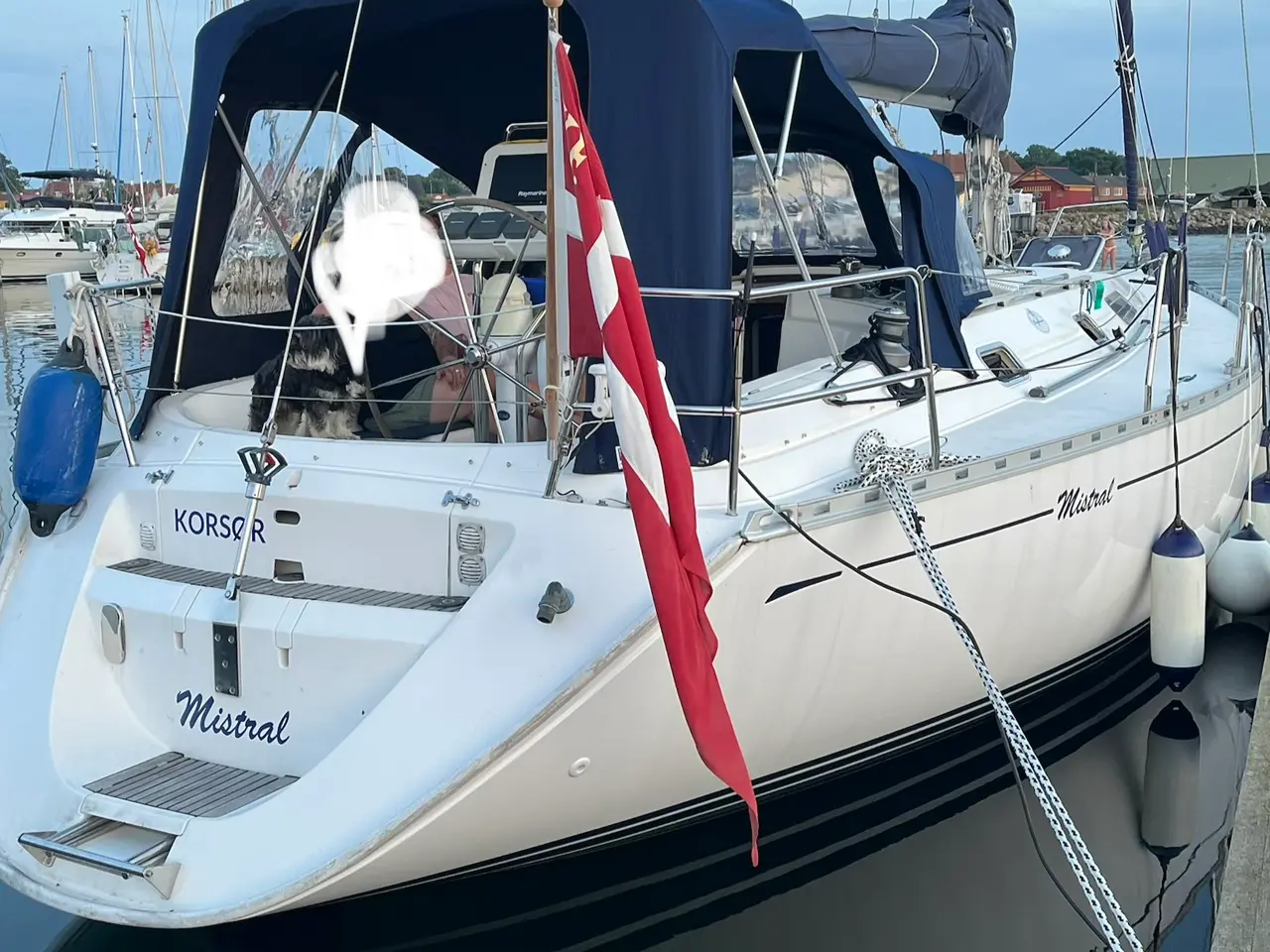 Billede 2 - Rummelig Dufour 38 Classic