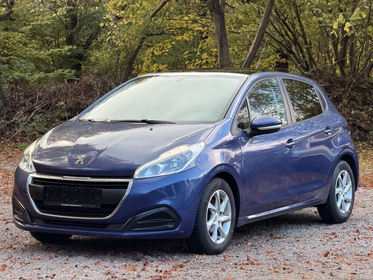 Billede 1 - Peugeot 208 1,6 BlueHDi 100 Desire Sky