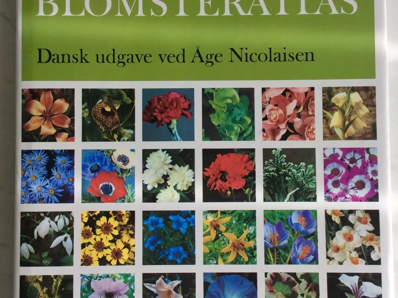 Billede 1 - Blomsteratlas.
