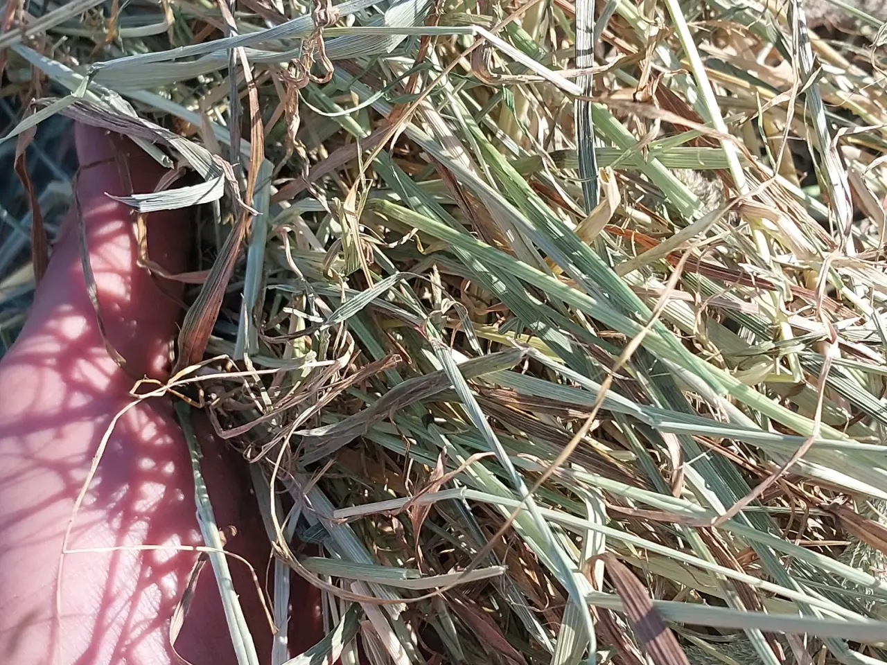 Billede 2 - 🐴🐴 KVALITET'S WRAP SÆLGES 🐂🐂 Pakket stationær