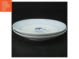 Dementer blå kornblomst Porcelænsmiddagstallerkener fra B&G (str. Ø. 16 cm)