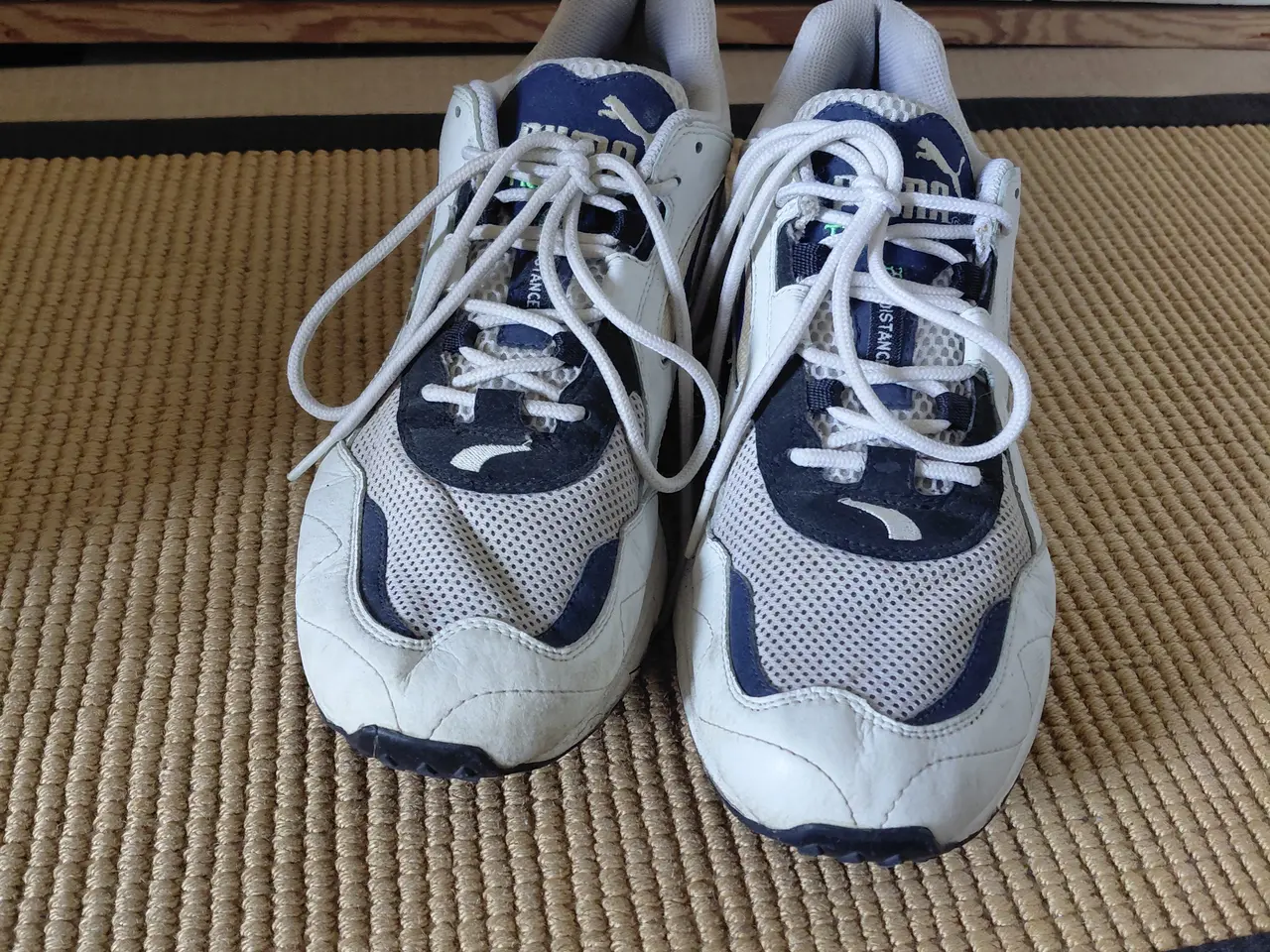 Billede 4 - Puma Trinomic sko.